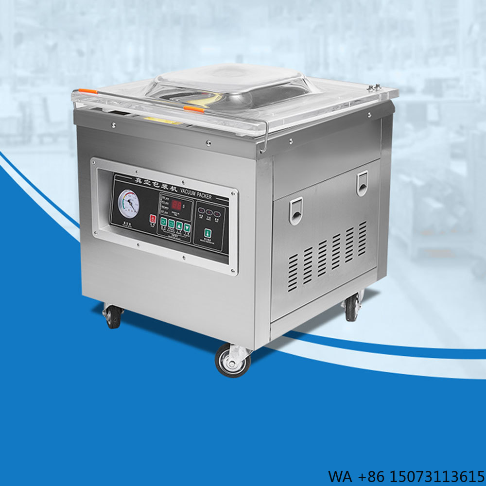 Vacuum Sealer - Dz-400 Professional Desktop Vacuum Packaging Automatic