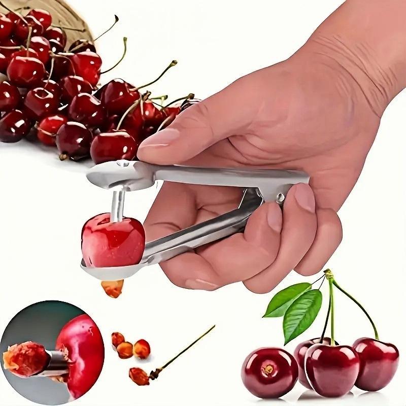 Kitchen Pitter Remover Olive C - Commercial Kitchen Equipment List ulasan dan harga