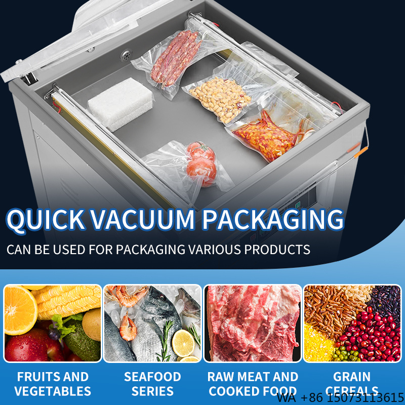 DZ-500  Vertical Single Chambe - Vacuum Sealer ulasan dan harga